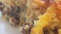 Emeril's Tater Tots 'n Cheese Bake created by Natalie B.