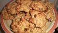 Double Oat Breakfast Cookies created by Homemade Mom