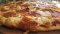 The Realtor's Perfect Pizza Primer W/ Dough Recipe created by gailanng