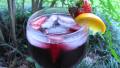 Party Sangria! created by loof751