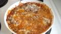 Beef Noodle Company Casserole created by mums the word