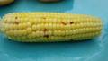 B-B-Q'd Corn With Chilli Lime Butter created by breezermom