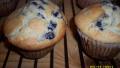 Jumbo Large Top Chocolate Chip (Or Blueberry) Muffins created by KinMa