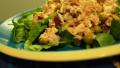 Super Healthy Tuna Salad created by Random Rachel
