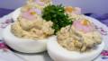 Deviled Eggs With Shrimp Filling (Krevetitäidisega Munad) created by twissis