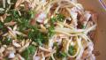 Nif's Chicken and Spaghetti With a Middle Eastern Twist created by Nif_H