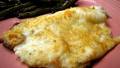 Asiago/Parmesan Tilapia in 20 Minutes or Less! created by loof751