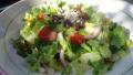 Garden Salad - Mediterranean Style created by LifeIsGood
