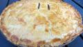Beef and Onion Pie created by K9 Owned