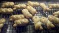 Sesame Greek Easter Cookies (Koulourakia) created by ftcollins
