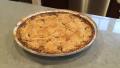 Apple Crumb Pie created by Samantha D.