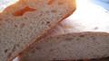 Ciabatta (Crusty Slipper Bread) created by gailanng