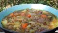 Soul Warming Veggie Beef Soup created by breezermom