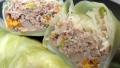 Asian Style Cabbage Rolls created by JustJanS