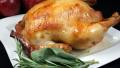 Thanksgiving bus schedule kingston