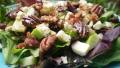 Apple Gorgonzola Salad With Balsamic Vinaigrette created by breezermom