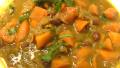 Sweet and Sour Curried Carrot created by JustJanS