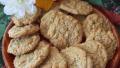 Peanut Butter Oatmeal Raisin Cookies created by LizCl