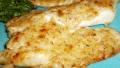 Broiled Tilapia With Parmesan created by breezermom