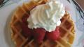Belgian-Style Yeast Waffles from Kaf created by MomLuvs6