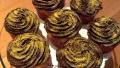Boston Cream Cup Cakes created by CIndytc