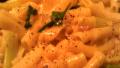 Ziti With Sharp Cheddar and Mushrooms created by Dienia B.