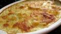 Cheesy Scalloped Potatoes created by gailanng
