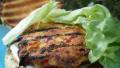 Super Healthy Tuna Burgers With Lemon Garlic Mayonnaise created by breezermom