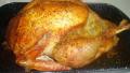 Roast Turkey with Old Fashioned Bread Stuffing created by looneytunesfan
