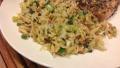 Garlic, Herb, Orzo and Rice Pliaf created by Dr. Jenny