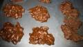 Pecan Pralines Southern Style created by The Real Cake Baker