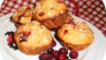 Cranberry Oat Muffins created by Megohm
