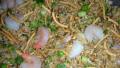 Polynesian Rice Salad created by JackieOhNo