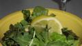 Mixed Greens Salad created by teresas