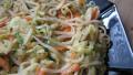 Asian Noodle Salad created by stormylee