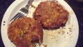 Zucchini Cakes "crab Cakes" for the Poor Man's Budget created by Jenessa F.