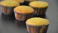 Sticky Date Cupcakes With Caramel Icing created by Harshitha M.