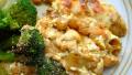 Another Sour Cream Chicken created by French Tart