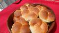 Carrie's Rich Rolls or Bread (Basic Recipe) With Variations created by pammyowl