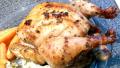 Eurasian Roasted Chicken created by Outta Here