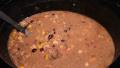 Crockpot Salsa Chicken and Black Bean Soup created by ArtsyBakingGeek