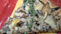 Wild Mushroom Pizza With Truffle Oil created by FLKeysJen