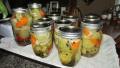 Homemade Spicy Pickled Green Tomatoes created by ogilviecarol