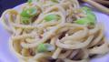 Spicy Sesame Noodles created by alligirl