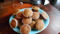 Gluten Free Casein Free Applesauce Muffins created by 4Jewels