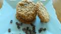 Delicious Gluten Free Chocolate Chip Oatmeal Cookies created by skinnysweetsdaily