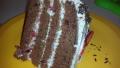 Burning Love Chocolate Cream Cake created by lisasol
