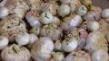 Roasted Garlic & Pearl Onions With Herbs created by Rita1652