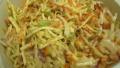 Corky's Memphis-Style Coleslaw created by PaulaG