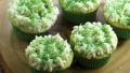 St. Patrick's Day Cupcakes created by May I Have That Rec